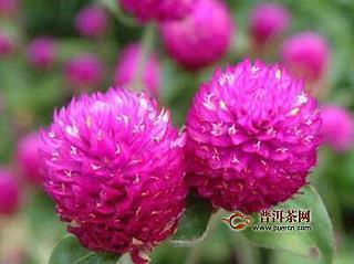 看淡人生感悟的句子(精选41句)