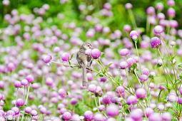 表面夸人其实内涵骂人 骂人不带脏字的句子(精选61句)