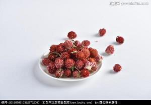 照明企业产品发布会主题口号