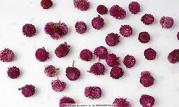 表达爱意的土味情话精选30句