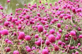 让人心疼的唯美伤感句子