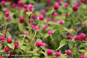 友情祝福的句子唯美句子14句