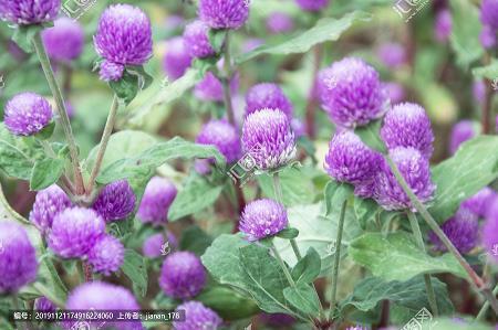 秋天的意境句子 描述秋天的优美短句