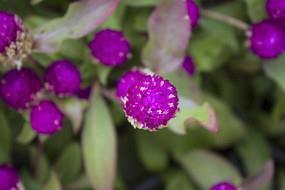 对生日的失望的句子说说心情