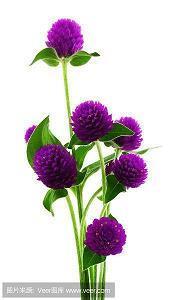 2021母亲节唯美句子汇编80句