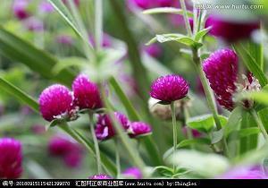 结婚纪念日简短感言 银婚纪念日感言