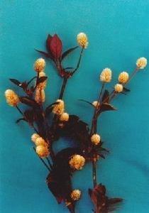 父母离开女儿心碎句子