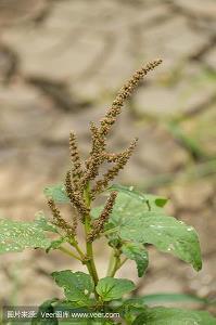 五四青年节文艺句子精选58句