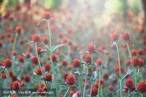 十月祝福朋友温馨的句子文案(精选94句)