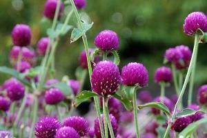 表示自己很失落的句子 很心烦很失落的句子