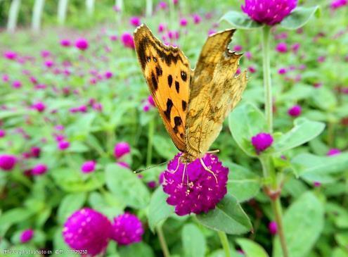 2021纪念九一八事变90周年缅怀英雄说说(精选40句)