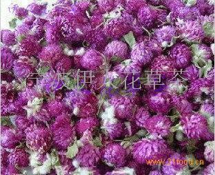 早起的短句说说36句