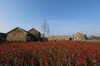 让人醒悟的句子61句