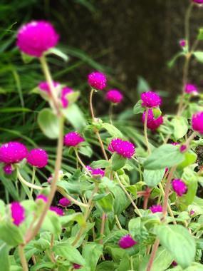 人物开心句子的描写