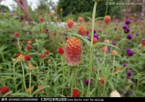 给初三中考加油的励志寄语(精选43句)