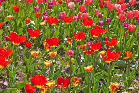 温柔到爆的神仙句子简短美好(精选52句)