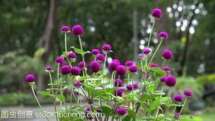 适合教师节发的祝福文案经典语录精选112句