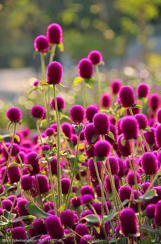 关于夏天的温柔文案短句收录20句