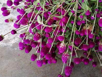 致生活不易的自己说说 感慨人生不易的句子汇总82句