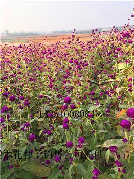 让人受益的金玉良言，对人生感悟的短句汇总94句