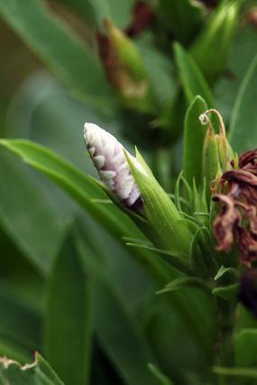 关于歌颂祖国的句子摘抄合集34句