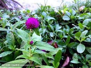 自己不重要的句子 原来我不重要的短句(精选86句)