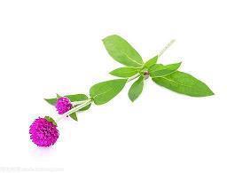 表达对朋友的爱的句子简短(精选33句)