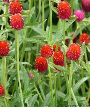 关于朋友突然相见很开心的句子