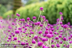 2021年最美的中秋节诗词【十首】(精选44句)