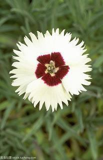 简短伤感的短句子大全 关于爱情悲伤的文案