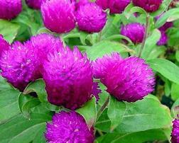 警示自己的励志语句(精选118句)