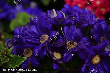 朋友圈正能量早安语录汇编38句