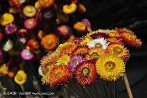 冬天早晨发朋友圈的心情句子