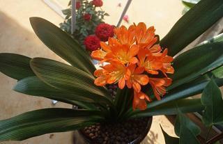 对男人失望的句子