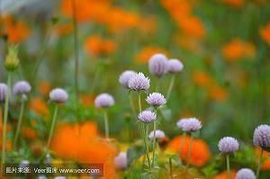 睡觉朋友圈晚安的说说 晚安小短句汇总60句