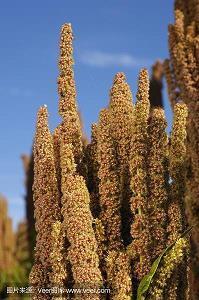 用一句古诗赞美老师 赞美老师的诗句和名言汇总41句