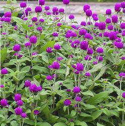 追忆旧时光的伤感语录