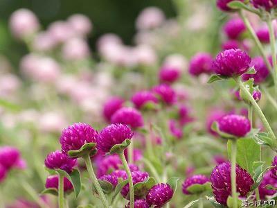 表达友谊的唯美句子100句