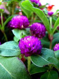 觥筹交错怎么读 觥筹交错造句和意思 觥筹交错的近义词反义词