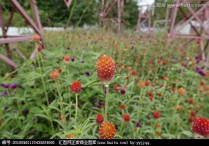 安慰重病家属的话语(精选37句)