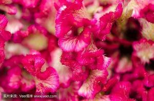 看尽世间繁华伤感句子 关于繁华落尽的唯美句子35句