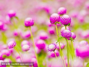 赞美大草原的简短句子(精选32句)