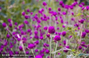 微信心情说说人生感悟 生活得更好，是为了自己