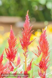 关于感动的句子摘抄 原来等待也可以如此的美丽，因为爱你