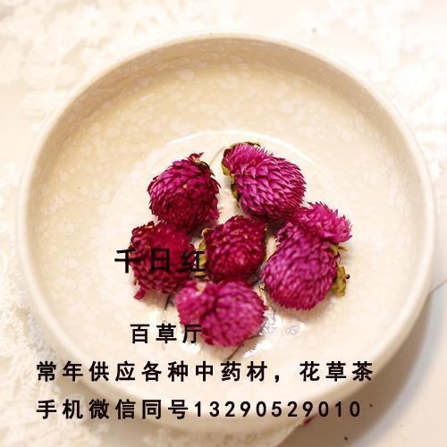 关于初一作文开头的句子或文案(精选27句)