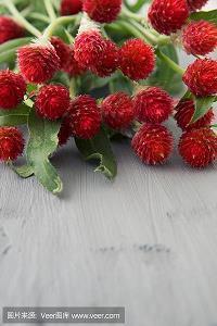 中秋节文案经典句子(精选115句)