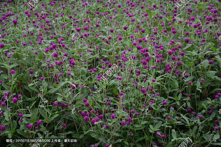 相濡以沫的唯美爱情句子