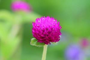 西安疫情励志句子 疫情的正能量句子(精选42句)