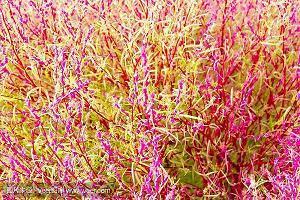 讽刺看透人心的句子 最透彻的人生感悟