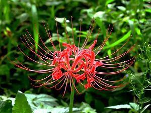 关于早晨的唯美句子